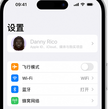 阳江镇appleID维修服务iPhone设置中Apple ID显示为灰色无法使用