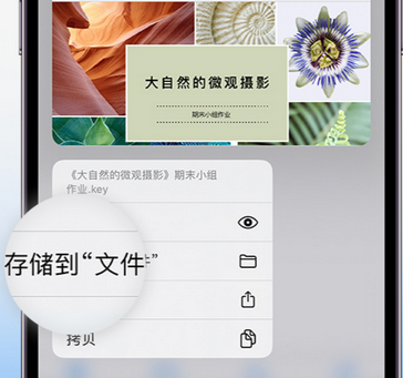 阳江镇apple维修中心分享iPhone文件应用中存储和找到下载文件