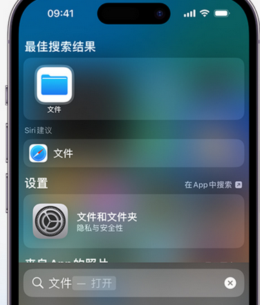 阳江镇apple维修中心分享iPhone文件应用中存储和找到下载文件 