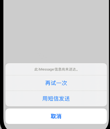 阳江镇apple维修iPhone上无法正常发送iMessage信息