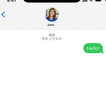 阳江镇apple维修iPhone上无法正常发送iMessage信息