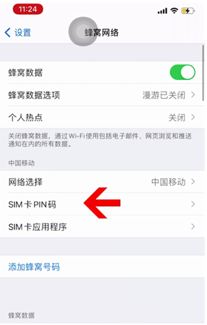 阳江镇苹果14维修网分享如何给iPhone14的SIM卡设置密码 