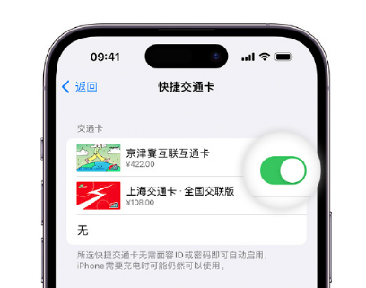 阳江镇apple维修点分享iPhone上更换Apple Pay快捷交通卡手绘卡面 