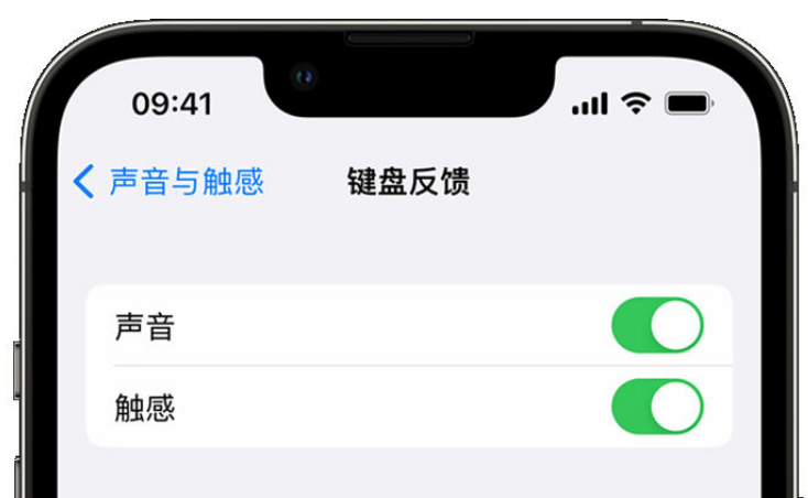 阳江镇苹果手机维修分享iPhone 14触感键盘使用方法 