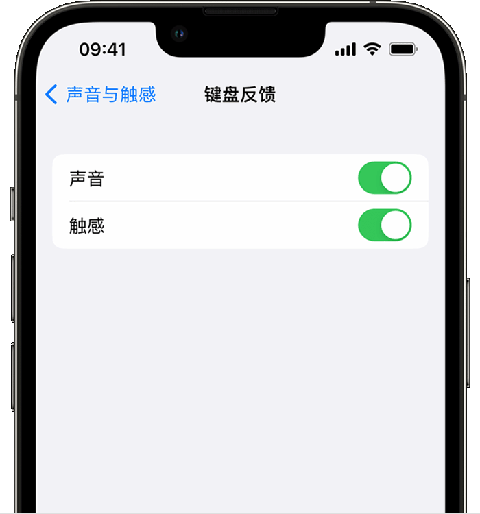 阳江镇苹果14维修店分享如何在 iPhone 14 机型中使用触感键盘 