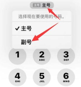 阳江镇苹果14维修店分享iPhone 14 Pro Max使用副卡打电话的方法 