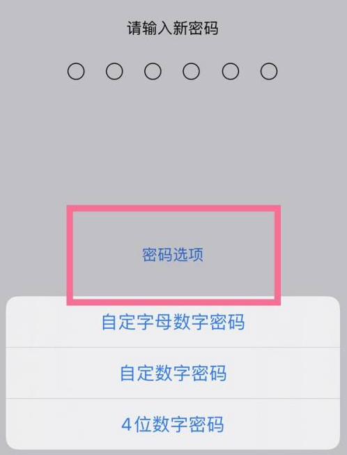 阳江镇苹果14维修分享iPhone 14plus设置密码的方法 