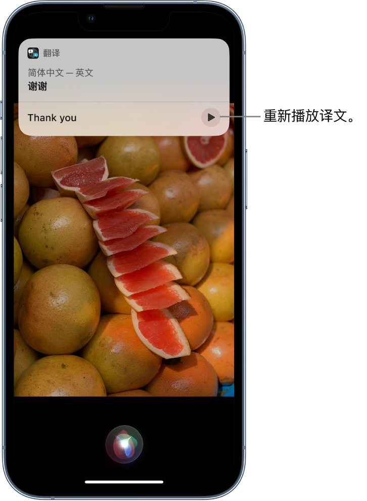 阳江镇苹果14维修分享 iPhone 14 机型中使用 Siri：了解 Siri 能帮你做什么 